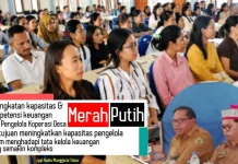 Pemkab Manggarai Timur Perkuat Tata Kelola Keuangan Koperasi Merah Putih