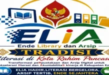 ELIA Permudah Akses Layanan Perpustakaan Digital Kabupaten Ende