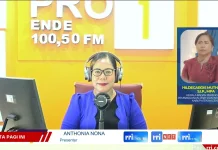 Nagekeo Kerahkan 418 ASN untuk Tagih Piutang PBB-P2