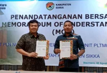 Pemkab Sikka dan PLN Perkuat Kesiapsiagaan Hadapi Bencana