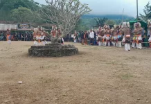 Caci Penti Pererat Persaudaraan Antar gendang di Manggarai Timur