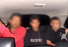Viral Video Pembakaran Burung Hantu, Polisi Amankan Tiga Pria di Manggarai Barat