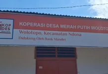 Kopdes Merah Putih Wolotopo Layani Empat Unit Usaha