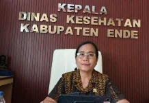 Dinkes Ende Perkuat Jemput Bola untuk Kejar Capaian CKG 2026