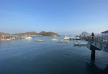 Fasilitas Publik dan Transportasi Kembali Normal Pascagempa di Labuan Bajo