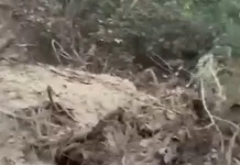 Desa Wolotopo dan Sekitarnya Terisolir, Kades Minta Alat Berat Evakuasi Material