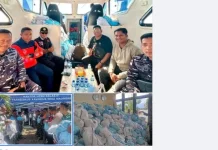 Bantuan Presiden Tiba di Sikka, 186 Paket Dibawa ke Palue
