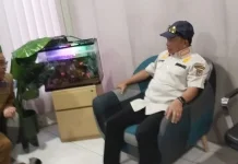 Mendagri Prioritaskan Pemulihan Korban Gempa Flores