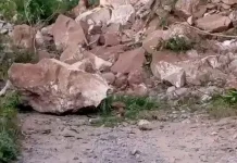 Longsor Putus Akses Jalan di Wolongizu Ngada