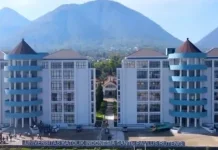 UNIKA Ruteng Buka Layanan Konseling Online bagi Korban Gempa, Gandeng SCU