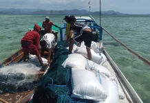Imigrasi Labuan Bajo Bantu Distribusi Bantuan Gempa ke Pulau Longos