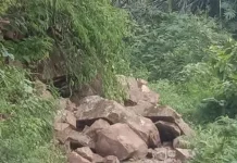 Jalan Kabupaten Ntaur–Ruteng dan Borong Tertutup Longsor Pasca-Gempa M 7,7
