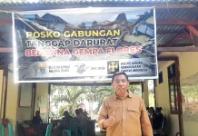 Lintasi Flores, Wakil Rektor UM Kupang Sapa Penyintas Gempa