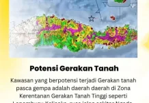 Pascagempa Flores, Badan Geologi Identifikasi 101 Titik Gerakan Tanah Terdeteksi