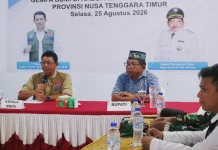 BNPB Percepat Pemulihan Pascagempa di Manggarai Timur