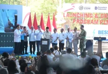PLTS 100 GWp Diluncurkan, PLN Dukung Percepatan Swasembada Energi
