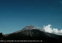 Erupsi Lewotobi Laki-laki Masih Berlangsung, Interval Semakin Jarang