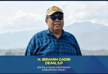 Perubahan Iklim Ancam Produksi Pangan Ende