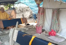 Gempa Rusak Rumah, Warga Flores Tetap Bangkit dan Produktif