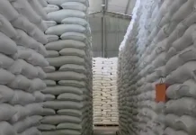 Bulog Maumere Siapkan Beras Bencana 28 Ton