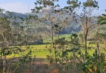 Aktivitas Pertanian Warga Desa Lamba Keli Masih Terhenti Pascagempa