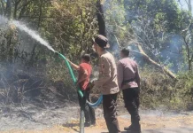Karhutla Hanguskan 50 Hektare Hutan Egon Ilinmedo