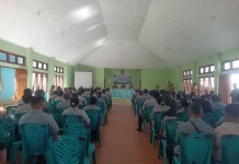 Lembata Siapkan Peremajaan Jambu Mete untuk Tingkatkan Produksi