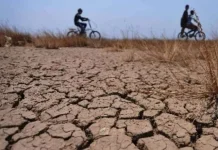 Wagub NTT Minta Masyarakat Antisipasi Dampak El Nino