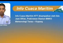 BMKG Ingatkan Gelombang Tinggi Perairan NTT Hari Ini