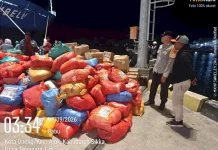 Bantuan Perantauan Mengalir, 633 Koli Tiba di Maumere