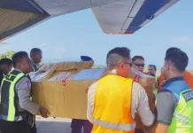 Pulang untuk Selamanya, Jejak Pengabdian drh. Alfonsius di Tanah Papua
