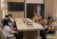 Gubernur NTT dan BKN Bahas Penguatan Manajemen Talenta ASN