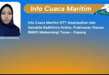 BMKG Waspadai Gelombang Tinggi hingga 3,5 Meter