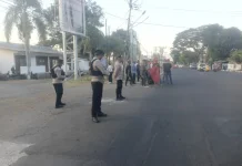 PMKRI Sikka Soroti Bantuan Gempa dan Kasus Dokter Hewan