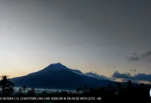 Aktivitas Menurun, Status Gunung Lewotobi Laki-laki Turun ke Level Waspada