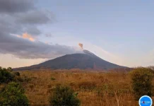 Aktivitas Ile Lewotolok Masih Tinggi, Pengunjung Diminta Patuhi Rekomendasi