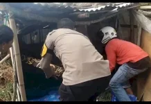 Bhabinkamtibmas Polres Manggarai Salurkan Bantuan ke Warga Terdampak Gempa