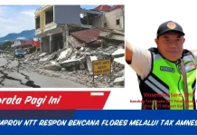 Pajak Kendaraan Topang Pembiayaan Layanan Publik NTT