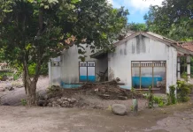 Relokasi Penyintas Lewotobi Dibagi Dua Skema, Terpadu dan Mandiri