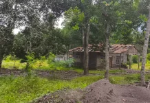 Pengadaan Lahan Jadi Tantangan Relokasi Penyintas Lewotobi