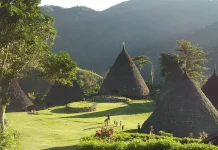 Filosofi Mbaru Niang, Simbol Persatuan Masyarakat Manggarai