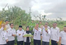Dari Gerakan Menanam ke Panen, Ekoteologi Kemenag Manggarai Timur Beri Hasil Nyata