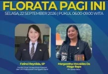 Pemulihan Palue Terkendala Akses dan Longsor Pascagempa