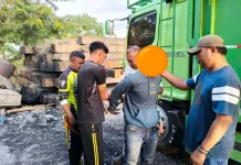 Buser Ngada dan Ende Amankan Terduga Pencurian Ternak