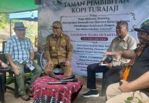 Bupati Ende Launching Pembibitan Kopi Turajaji