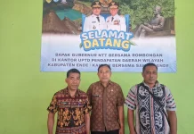 Sebanyak 5.000 Kendaraan di Kabupaten Ende Masih Diburu lewat Program Tax Amnesty