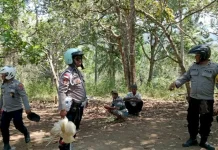 Arena Sabung Ayam Bongo Dibubarkan Barang Bukti Diamankan