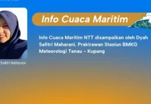 Gelombang hingga 2,5 Meter Berpotensi Terjadi di Perairan NTT, Nelayan Waspada