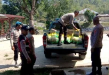 Polsek Cibal Salurkan Sembako untuk Warga Desa Nenu