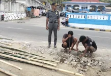 Satpol PP Ende Pagar Sempadan Pantai Ndao